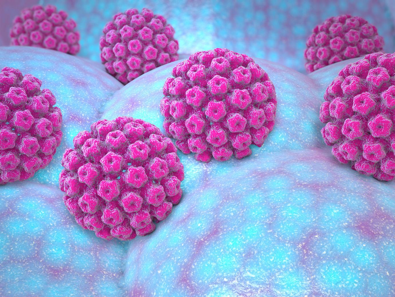 Human papillomavirus (HPV)