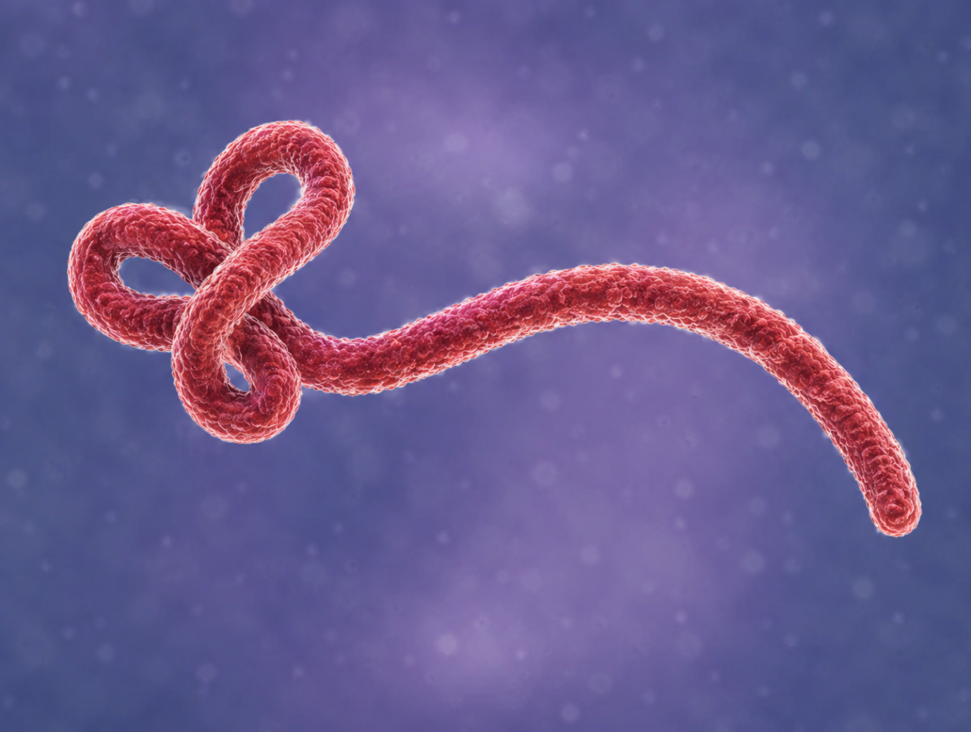 Ebola webinar