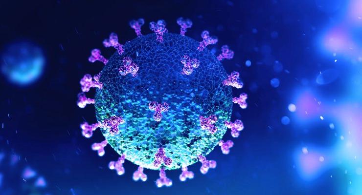 coronavirus