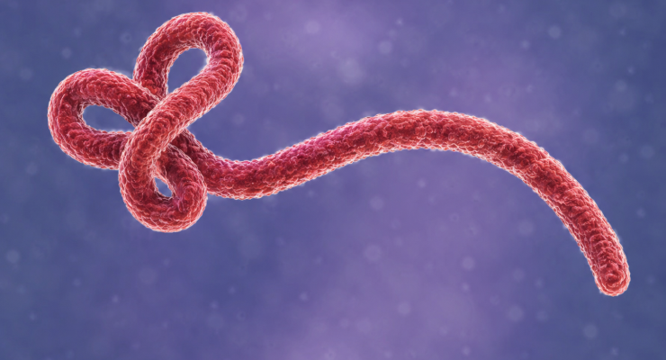 Ebola webinar